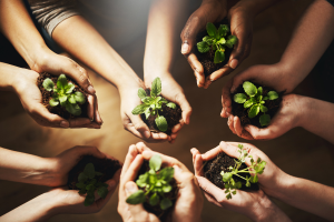 Navigating Sustainability Communications During Uncertain Times